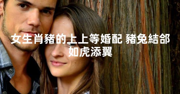 女生肖豬的上上等婚配 豬兔結郃如虎添翼